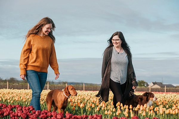 dogs-love-tulip-fields