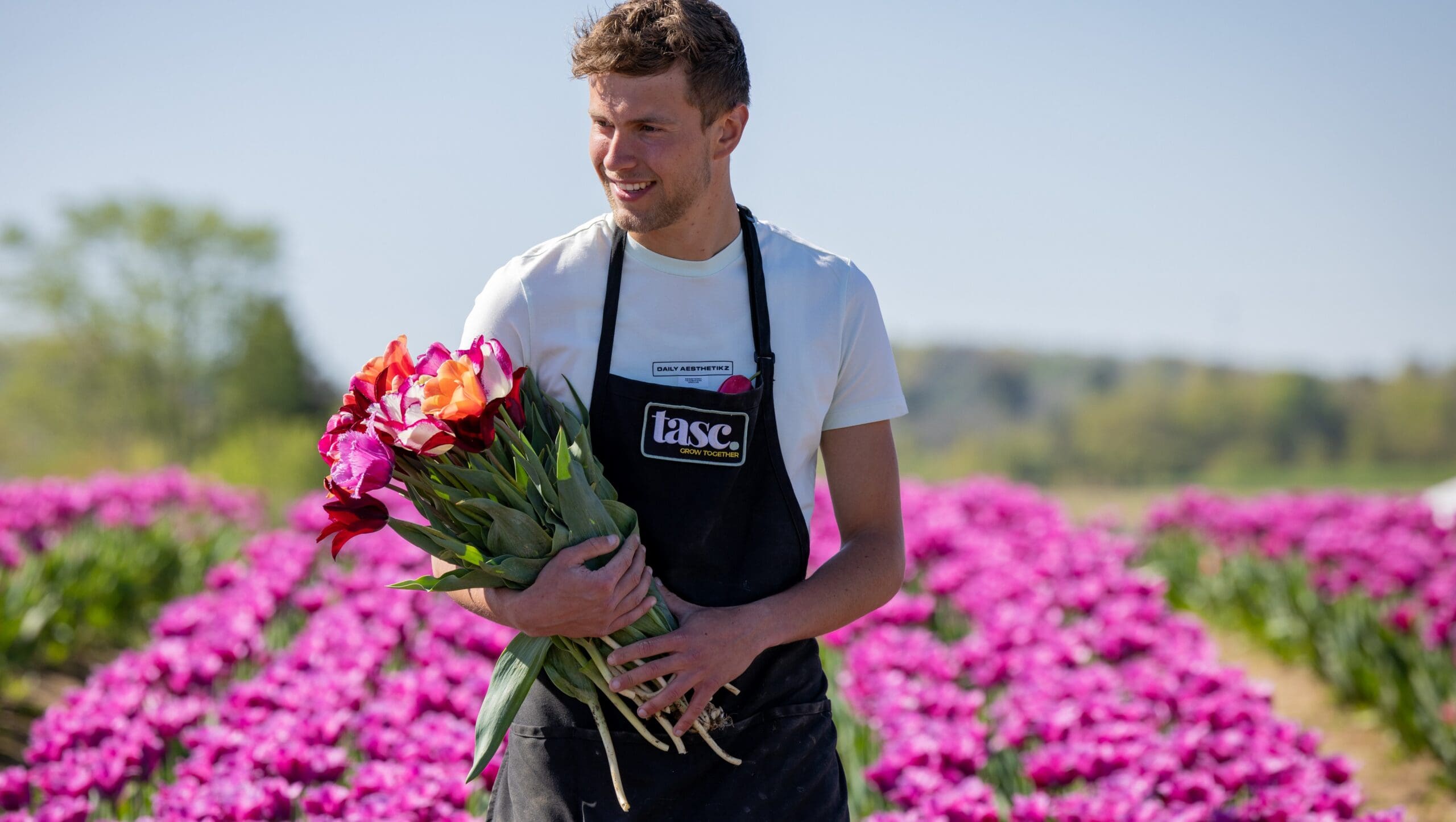 Tulip fields at TASC Gardens in Niagara-on-the-Lake Ontario
