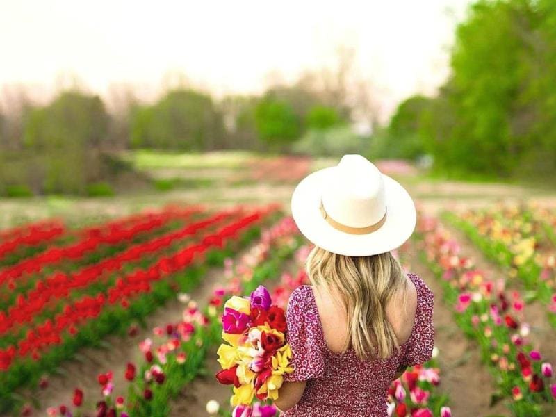 2026 Tasc Tulip Festival in Niagara-on-the-Lake, ON