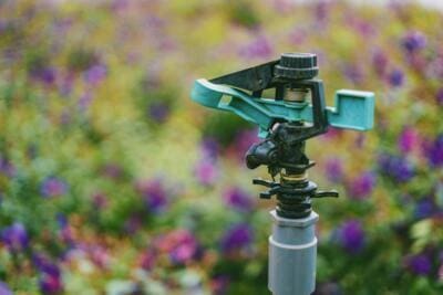 Garden sprinkler spraying water over plants